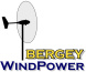 logo-bergey